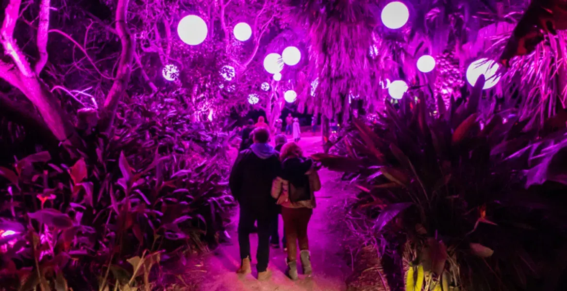 Astra Lumina Los Angeles: An Immersive Nightwalk Experience