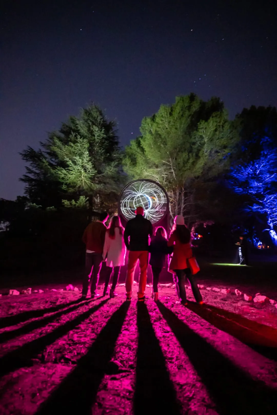Private Events - Astra Lumina Dallas: An Immersive Nightwalk Experience
