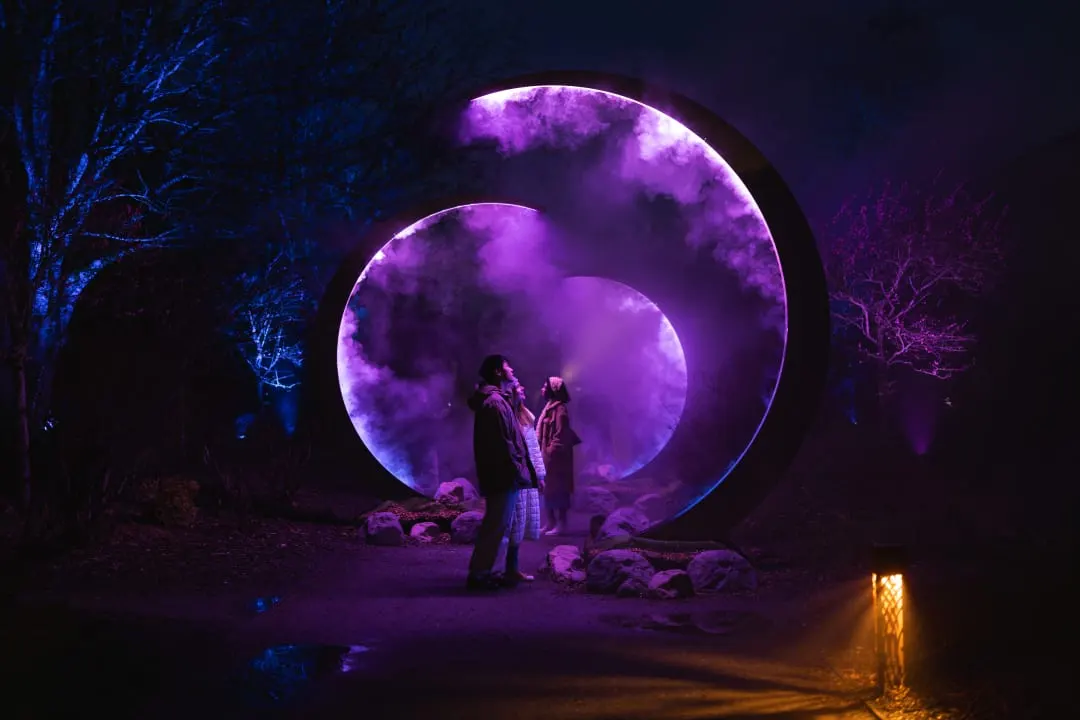 School visits and educational groups (10+ people) - Astra Lumina Dallas: An Immersive Nightwalk Experience