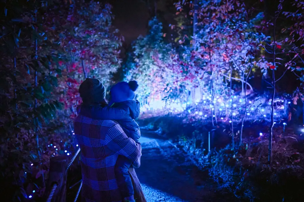 Astra Lumina Dallas: An Immersive Nightwalk Experience