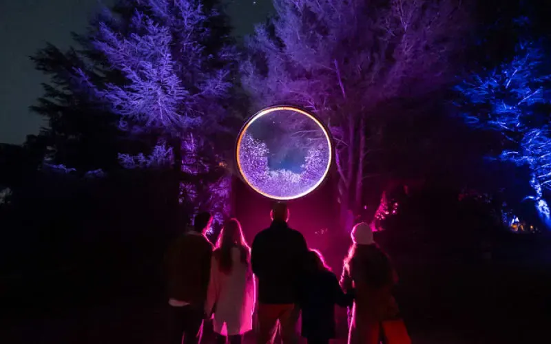 Private Events - Astra Lumina Los Angeles: An Immersive Nightwalk Experience